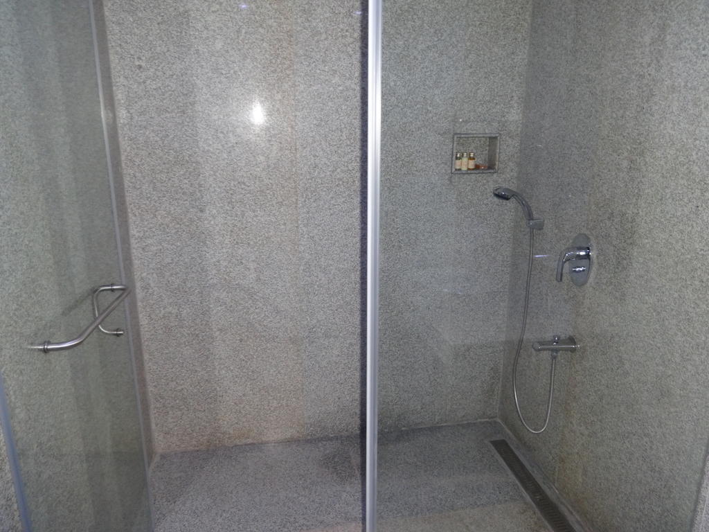 Hotel Patliputra Exotica Patna  Værelse billede